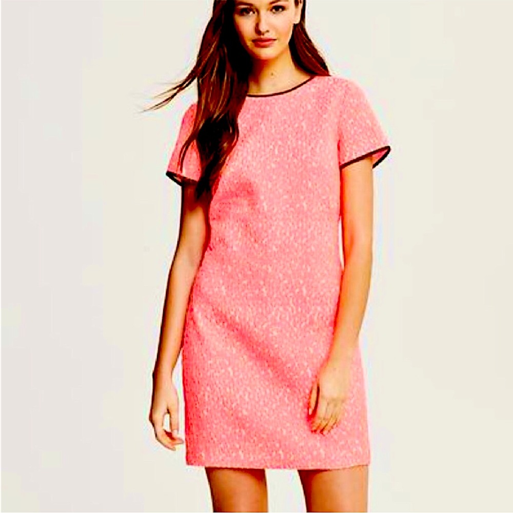 BANANA REPUBLIC PINK CHEETAH PRINT SHIFT DRESS